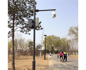 克拉玛依小区监控杆-LB-02